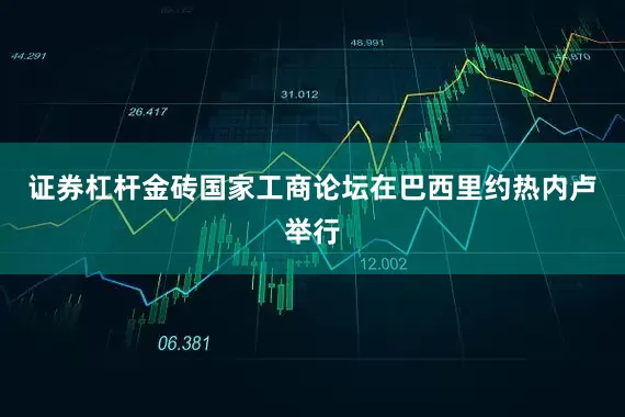 证券杠杆金砖国家工商论坛在巴西里约热内卢举行