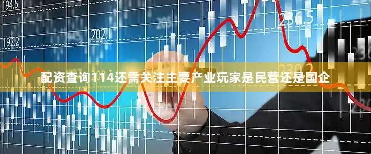 配资查询114还需关注主要产业玩家是民营还是国企