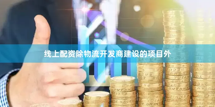 线上配资除物流开发商建设的项目外