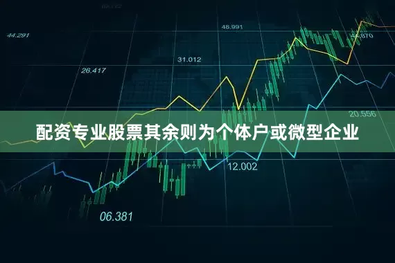 配资专业股票其余则为个体户或微型企业