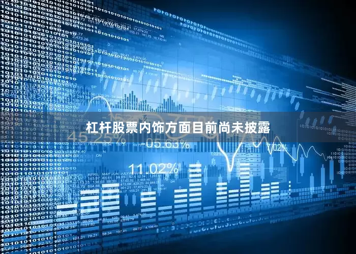 杠杆股票内饰方面目前尚未披露