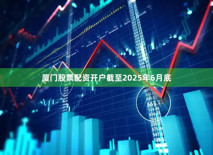 厦门股票配资开户截至2025年6月底