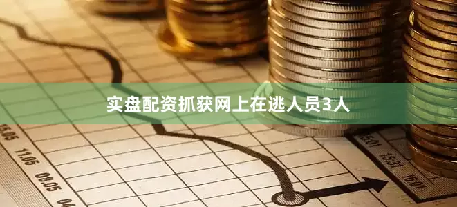 实盘配资抓获网上在逃人员3人