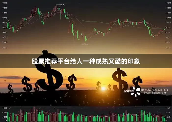 股票推荐平台给人一种成熟又酷的印象