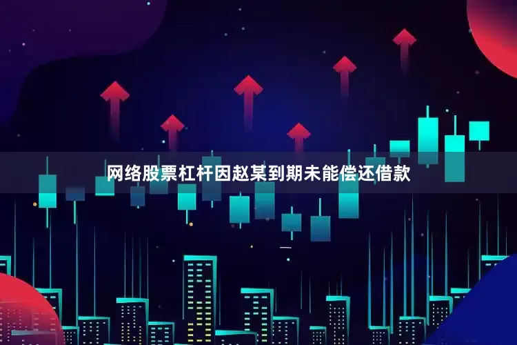 网络股票杠杆因赵某到期未能偿还借款