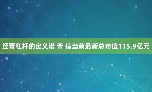 经营杠杆的定义诺 普 信当前最新总市值115.9亿元