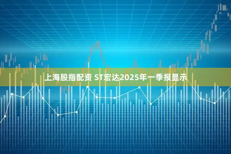 上海股指配资 ST宏达2025年一季报显示