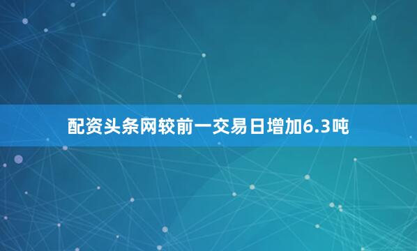 配资头条网较前一交易日增加6.3吨