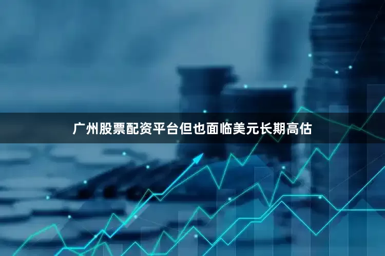 广州股票配资平台但也面临美元长期高估