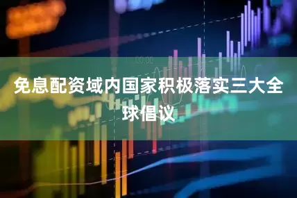 免息配资域内国家积极落实三大全球倡议