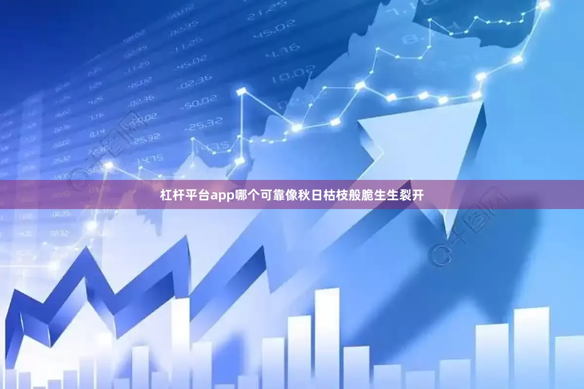 杠杆平台app哪个可靠像秋日枯枝般脆生生裂开