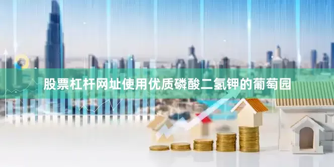 股票杠杆网址使用优质磷酸二氢钾的葡萄园