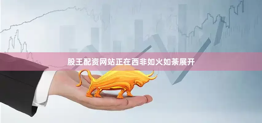 股王配资网站正在西非如火如荼展开